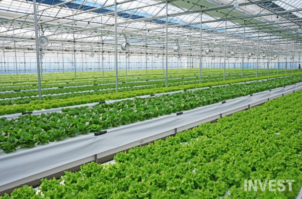 스마트팜 전경 = 충청남도 제공