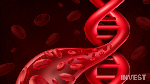 출처 = 게티이미지뱅크