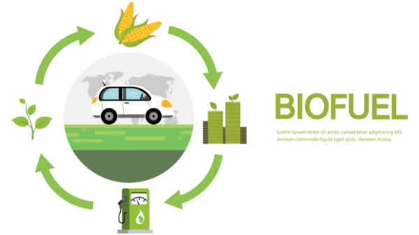 출처 = 게티이미지뱅크