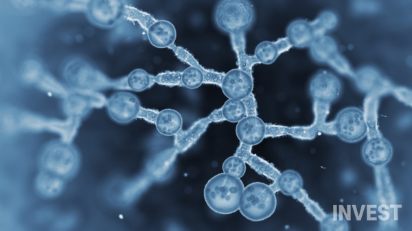 출처 = 게티이미지뱅크