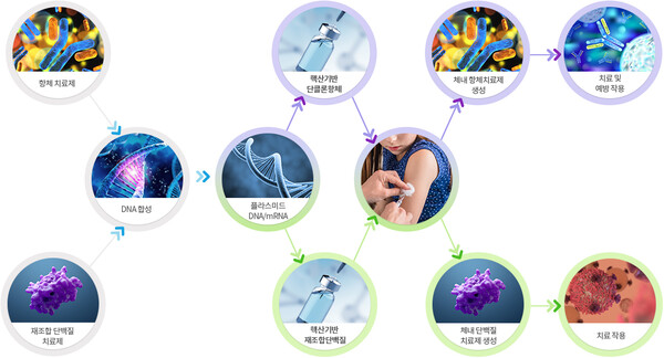 ▲핵산기반 치료제 (출처 = 진원생명과학)