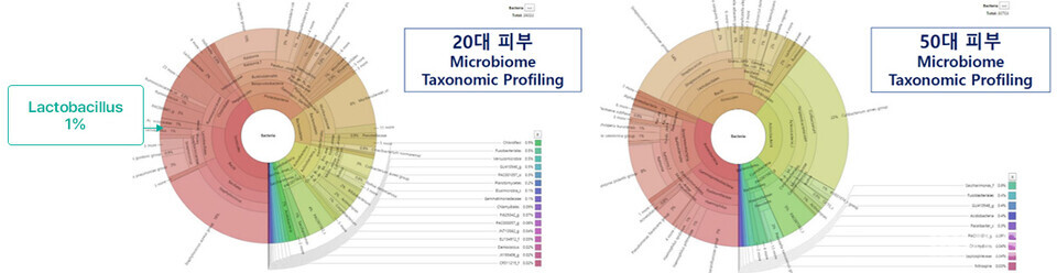 ▲스킨 마이크로바이옴 DB (출처 = 지에프씨생명과학)